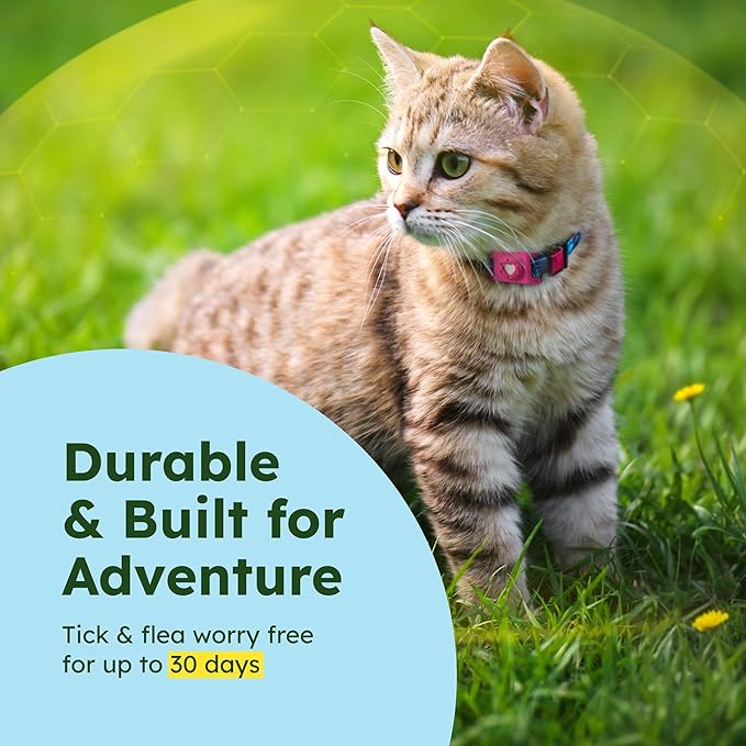 BugMD Paw Guardian Flea & Tick Pendant (3-Pack) with AirTag Holder – Plant-Based Flea & Tick Prevention for Dogs & Cats – Pet Collar Tag & GPS Tracker Holder for Cats & Dogs – Pink