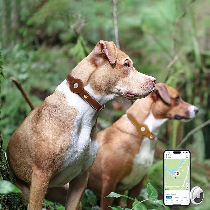 OOPSDOGGY Reflective Geniune Leather Airtag Dog Collar Soft Padded Collars for Small Medium Large Breed Dogs Puppy, 4 Sizes, 7 Colors (Camel, Medium, 12"-15")