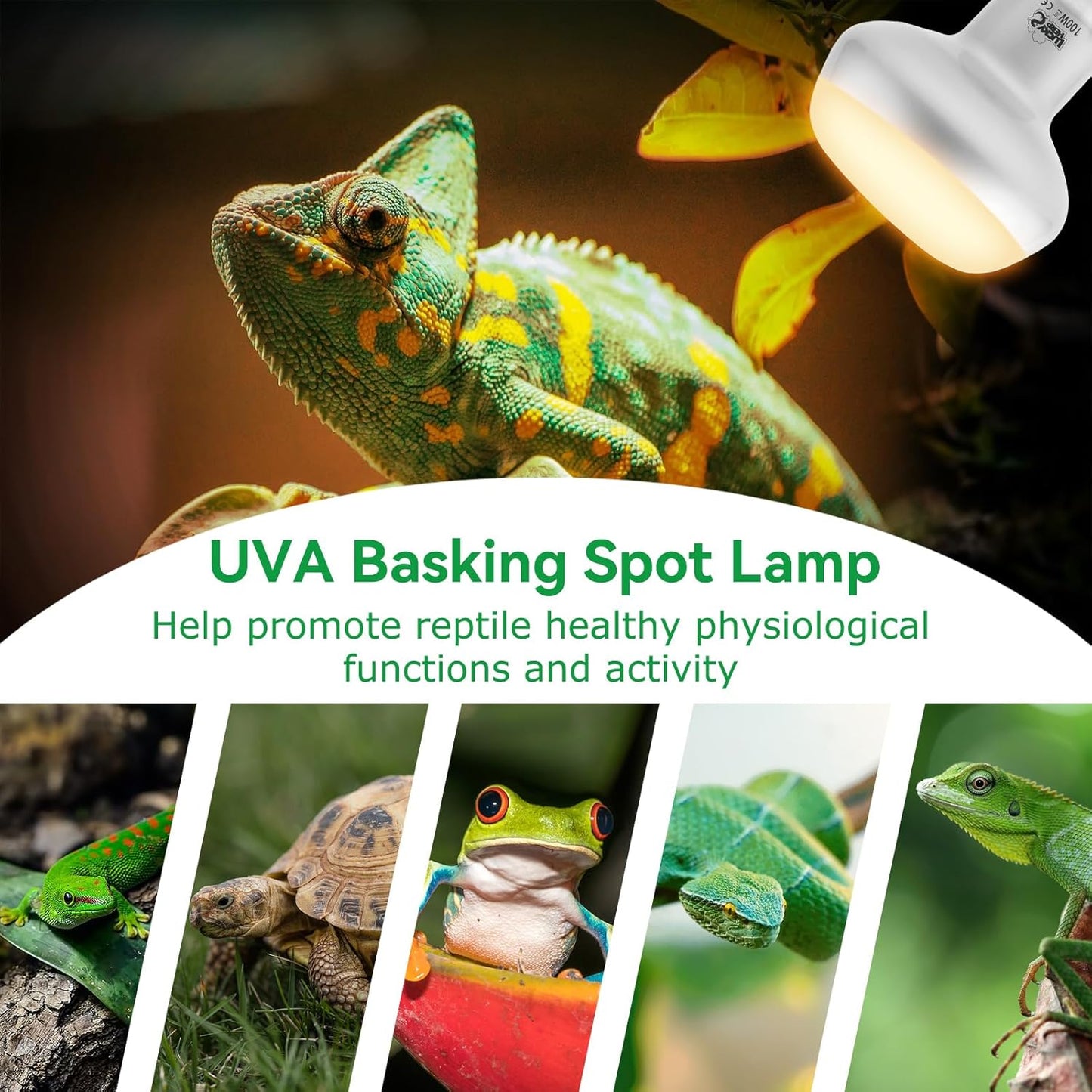 LUCKY HERP Intense Heat Lamp Bulbs for Reptiles 100W 2 Pack, UVA Daylight Reptile Heat Lamp, Reptile Basking Heat Light Bulb for Amphibian, Tortoise, Bearded Dragon, Lizard, Turtle, Snake Heating Use