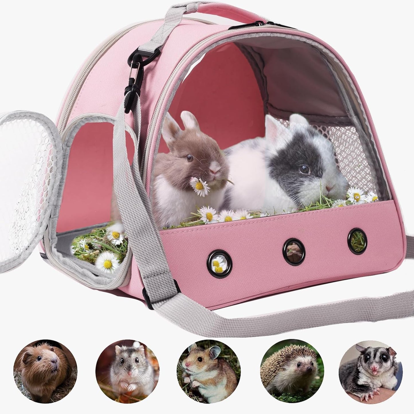 Bearded Dragon Carrier, Lizards & Small Animal Travel Carrier for Sugar Glider, Hedgehog, Rat, Parrot, Bird & Guinea Pig - Portable, Two-Pig Pink Carrier