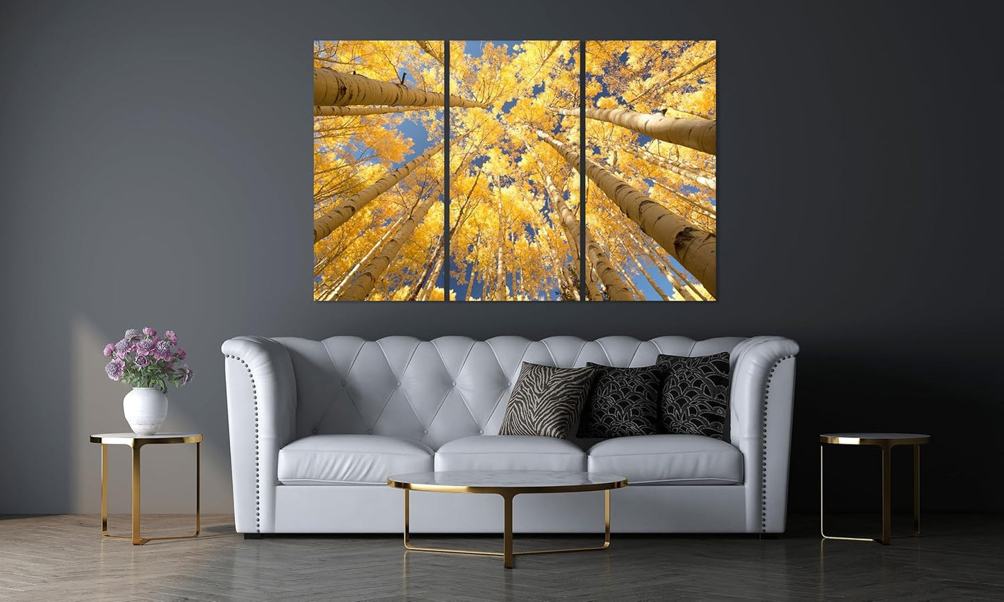 Nature Wall Art Prints - Ocean Forest Mountain Lake Canvas Landscapes - Small to Extra Large Living Room Bedroom Kitchen Bathroom Décor (Reaching for the Sky, 55L" x 83W"- 3 Panels)