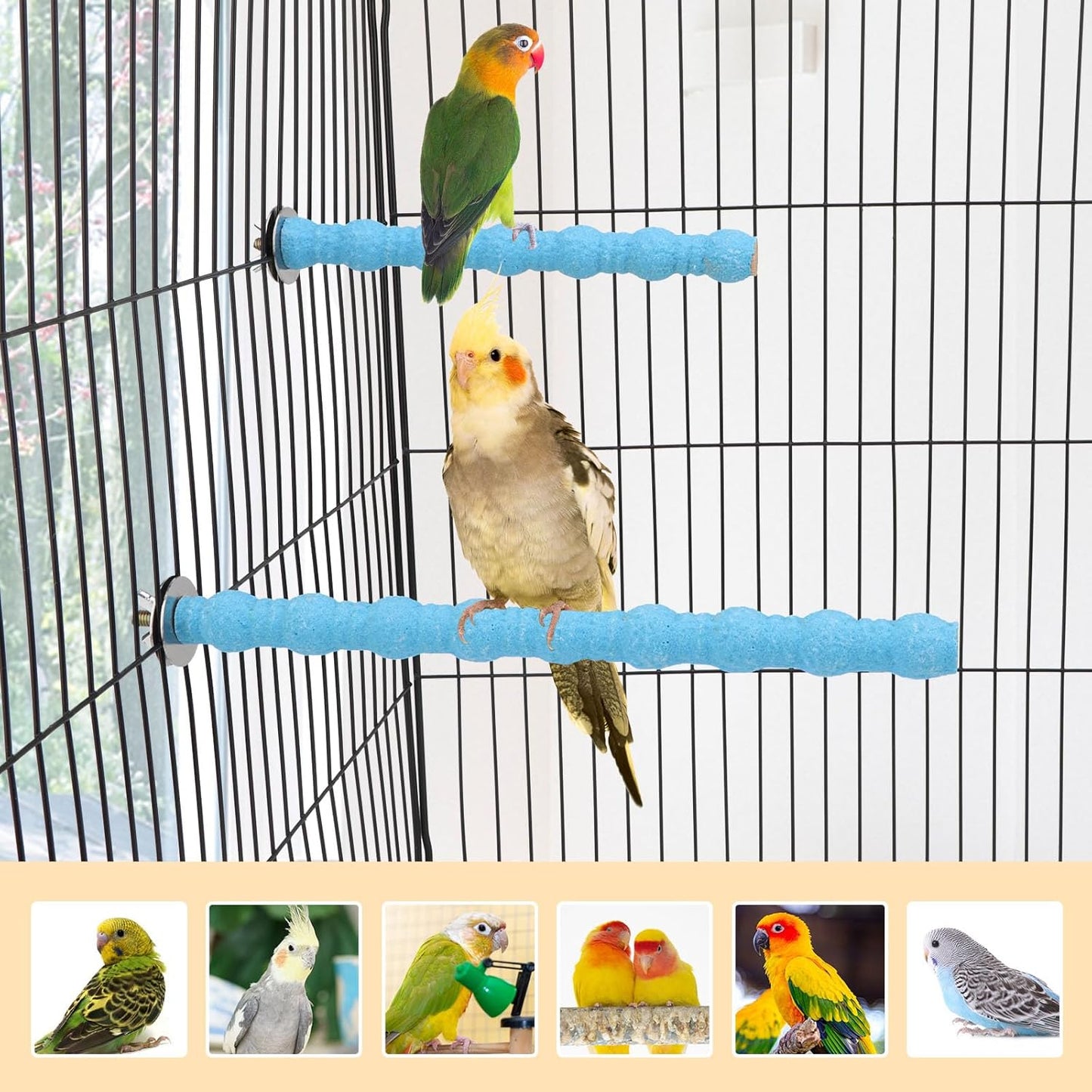 Hypeety 2PCS Bird Wood Perch Stand Paw Grinding Stick Toy Pet Bird Cage Stand Platform for Bird Parrot Budgies Parakeet Cockatiels Cage Accessories (7in/10in) (Blue)