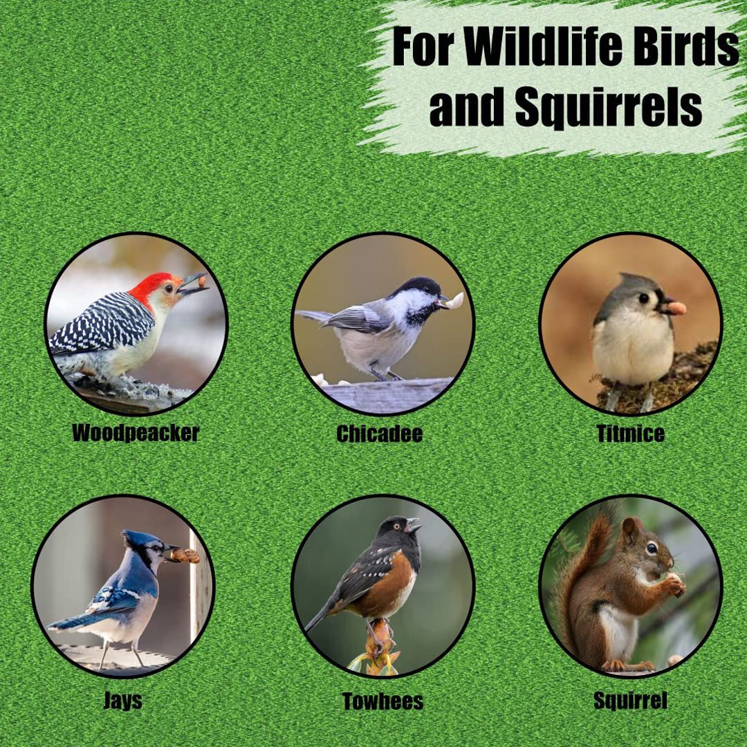 Old Potters Wildlife Shelled Peanuts, 25 lbs for Birds, Squirrels, and Wildlife. USA Grown Non-GMO, Organic Small Farm, Raw Shelled Peanuts. Wildlife Grade, 25 lbs.