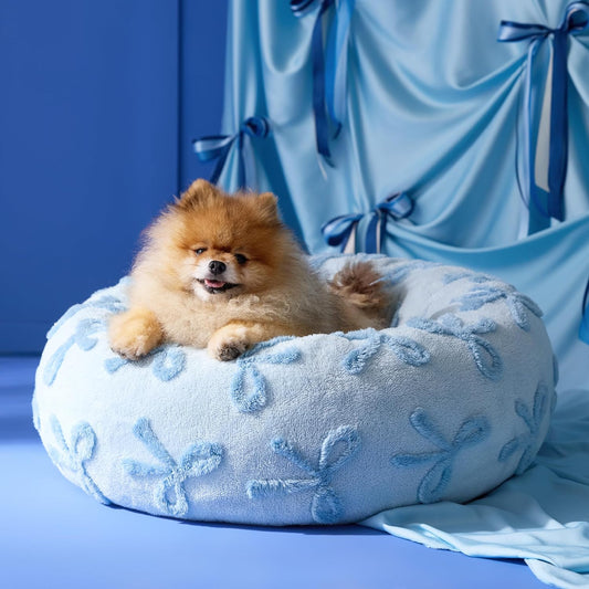LE SURE Donut Small Dog Bed - Round Cat Beds for Indoor Cats Anti-Anxiety Calming Pet Beds, Washable Cute Modern Beds with Teddy Sherpa Plush & Anti Slip Bottom, 23 Inch, Ice Melt