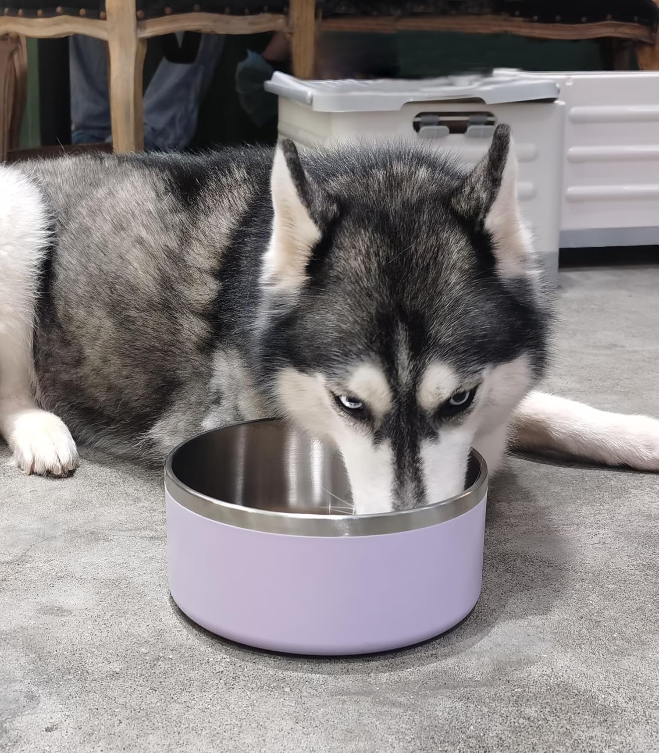 Dog Bowl, Stainless Steel Dog Food and Water Bowl with Non Slip Quiet Bottom, Easy to Clean, Dishwasher Safe, 64oz, Light Purple