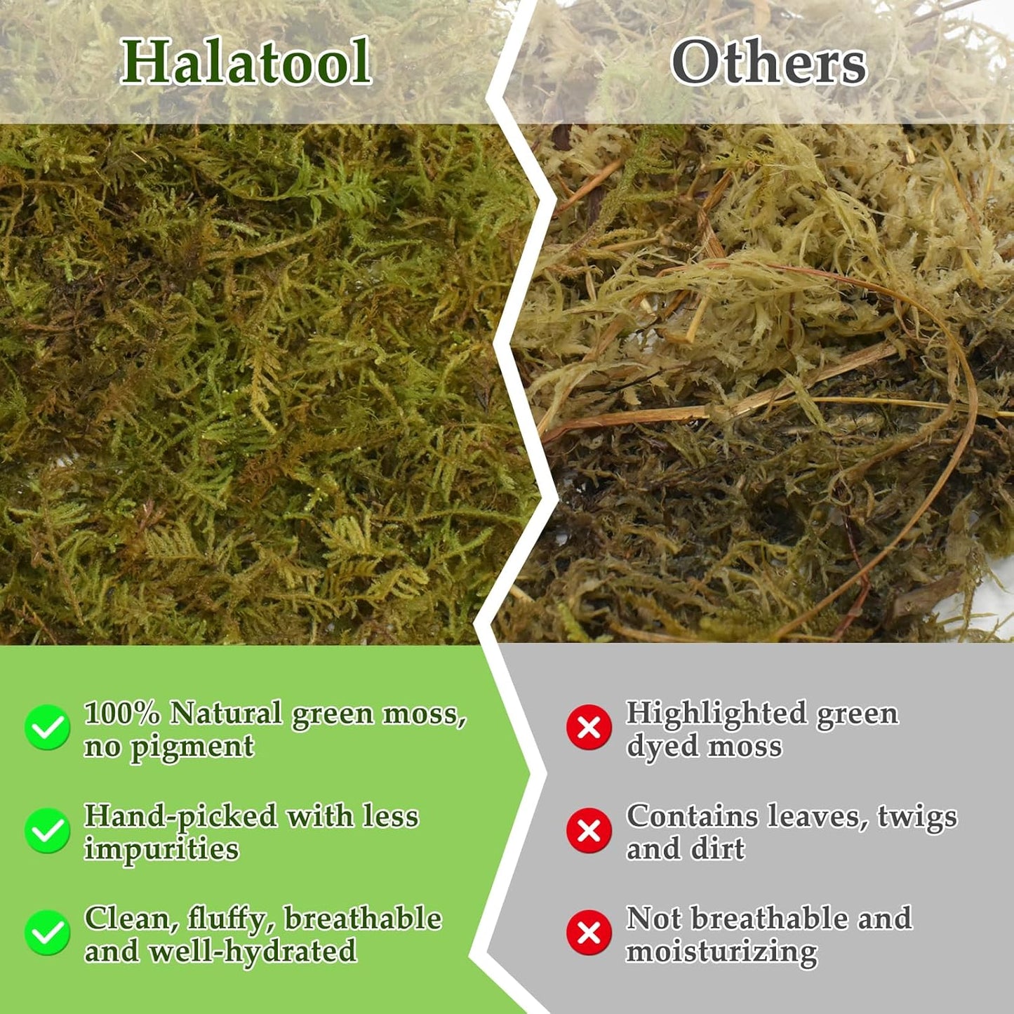 Halatool 12OZ Natural Sphagnum Moss for Reptiles- 18QT Green Live Moss for Terrarium Plants Long Fiber Reptile Moss for Leopard Gecko Snake Hamsters Tortoises Frogs Lizards Salamanders