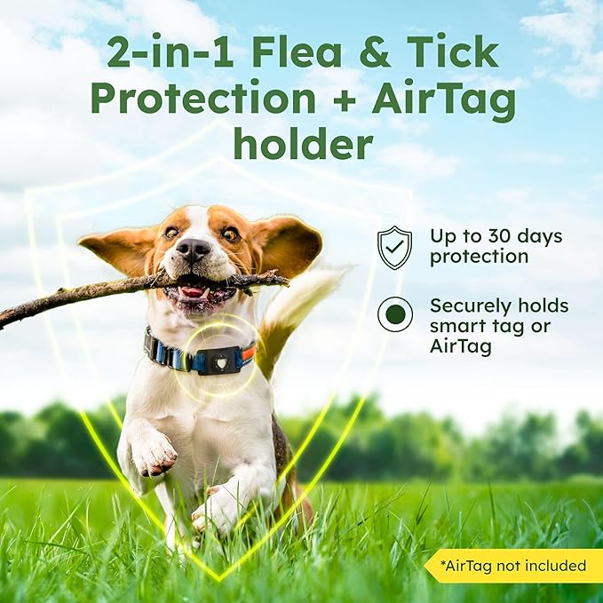 BugMD Paw Guardian Flea & Tick Pendant (3-Pack) with AirTag Holder – Plant-Based Flea & Tick Prevention for Dogs & Cats – Pet Collar Tag & GPS Tracker Holder for Cats & Dogs – Black