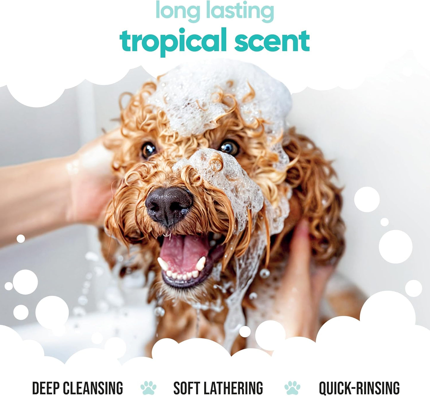 Tropical Dog Shampoo by Buddycare | Deep Cleansing Shampoo for Dogs | Tropical Scented | with Aloe Vera and Pro Vitamin B5 (50.72oz)