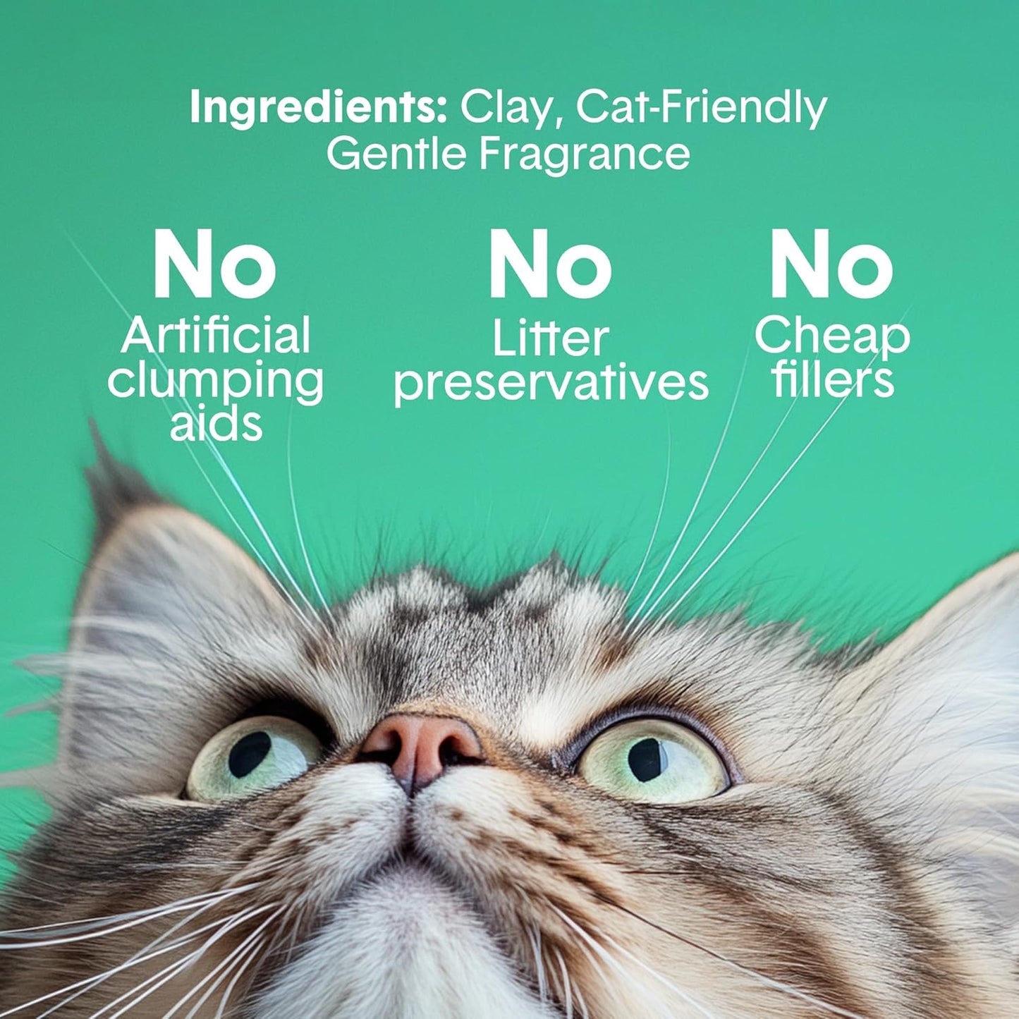 Boxiecat Gently Scented Premium Clumping Clay Cat Litter, 28-Pounds