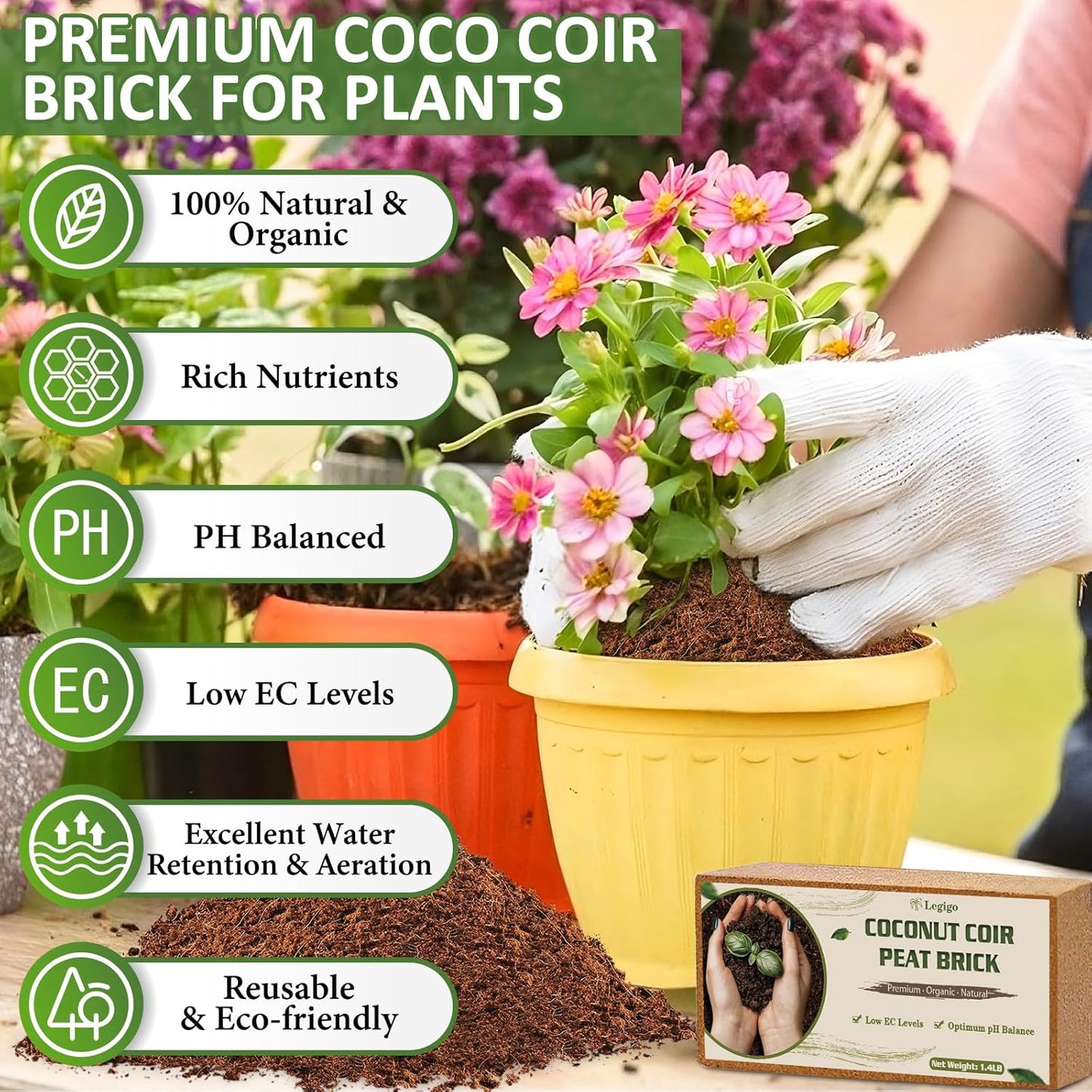 Legigo 6 Pack Premium Coco Coir Brick for Plants- 100% Organic Compressed Coconut Coir Bricks Starting Mix, Coco Coir Fiber Coconut Husk for Planting, Gardening, Potting Soil Substrate, Herbs
