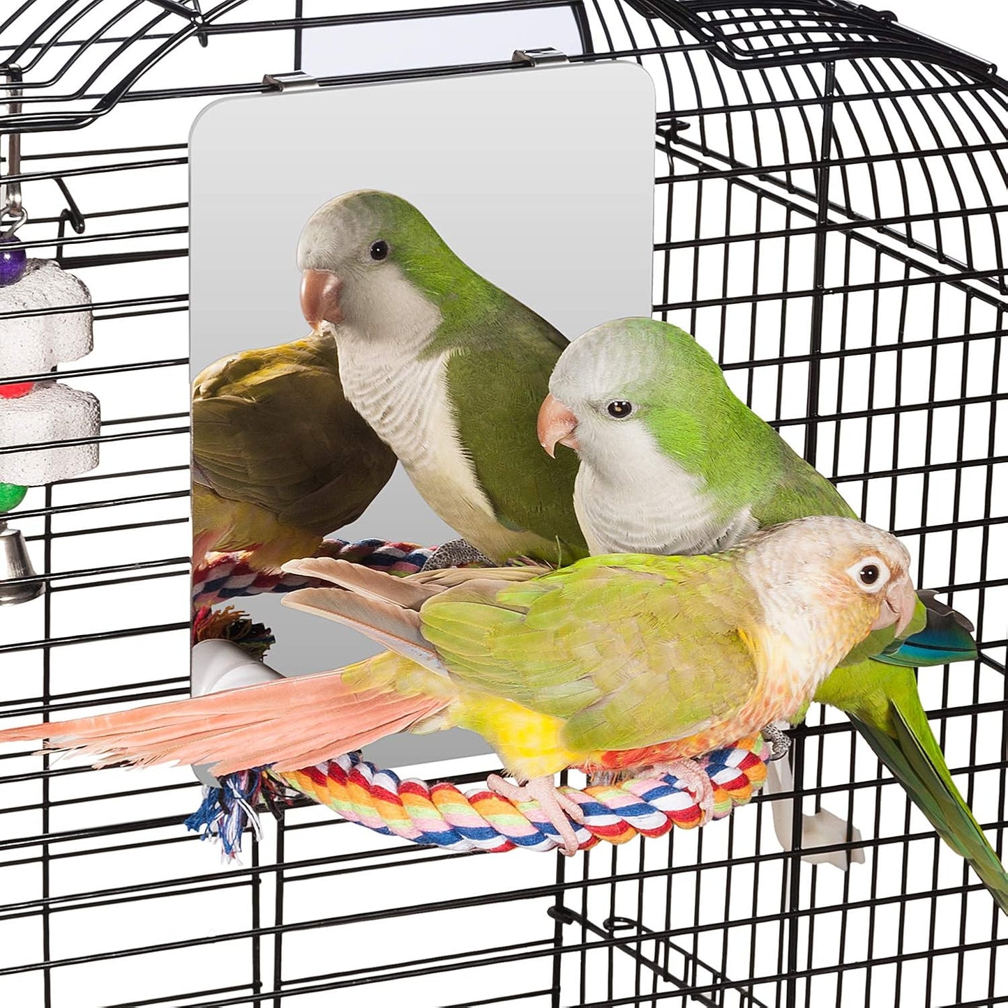 Colorday 7" Bird Mirror with Rope Perch, Bird Swing, Parrot Cage Toys for Parakeet African Grey Conure Cockatiel Lovebird Finch Canarie, Medium