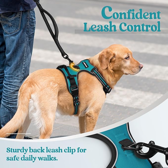 rabbitgoo Dog Harness No Pull with 2 Leash Clips, Adjustable Soft Padded, Reflective Oxford No Choke Pet Vest with Easy Control Handle for Medium Sized Dogs, Teal, M