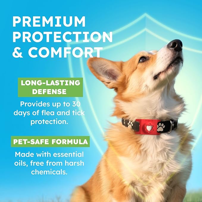 Bug MD Paw Guardian Refill, Plant-Powered Flea & Tick Protection Tablets, 3 Count, 30-Day Protection, Natural Essential Oil Formula