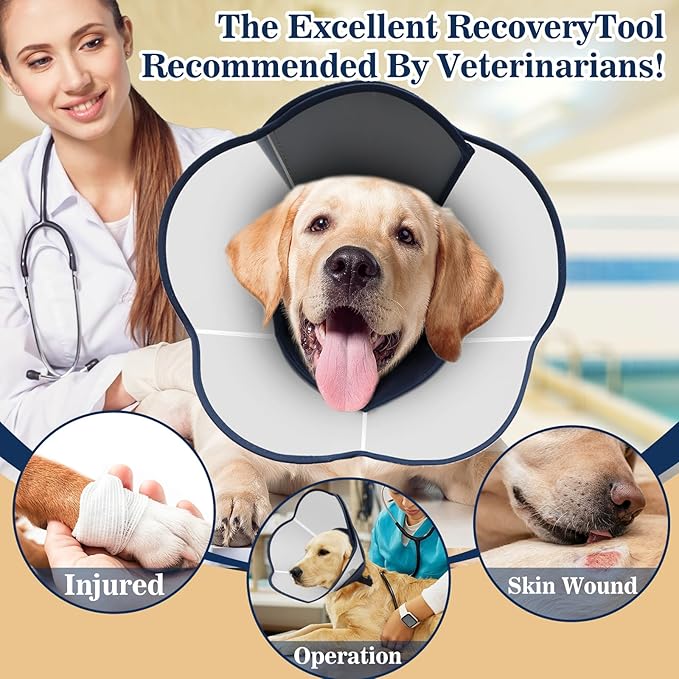 Hard & Heavy Plastic Dog Cone Collar Alternative for Small Dogs (Yorkshire Pomeranian) After Surgery, Adjustable Recovery Cone Anti-Lick, Elizabethan Protective Collar Cone of Shame for Healing