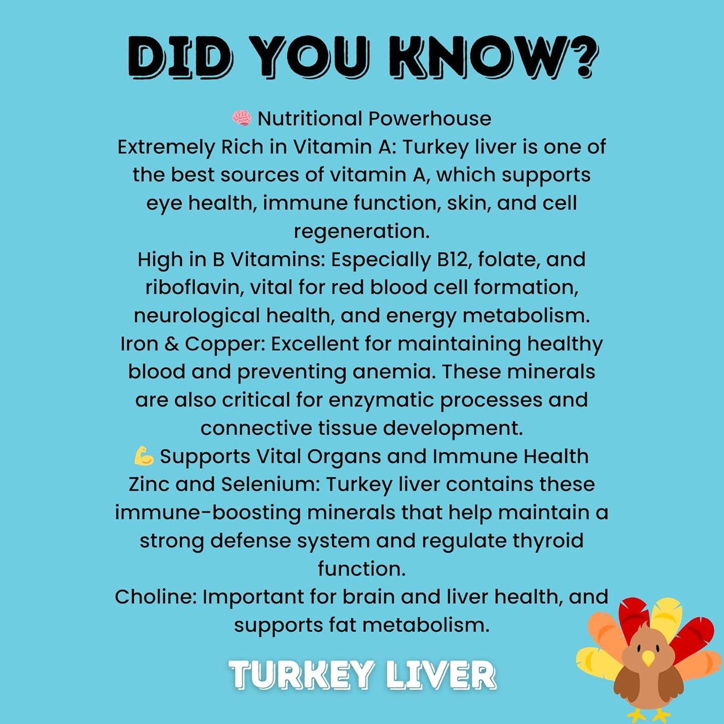 hotspot pets Freeze Dried Turkey Liver Treats for Cats & Dogs -Made in USA, 1lb Big Bag, Single Ingredient All Natural Grain-Free Turkey Liver- Crunchy, Perfect for Training, Topper or Snack