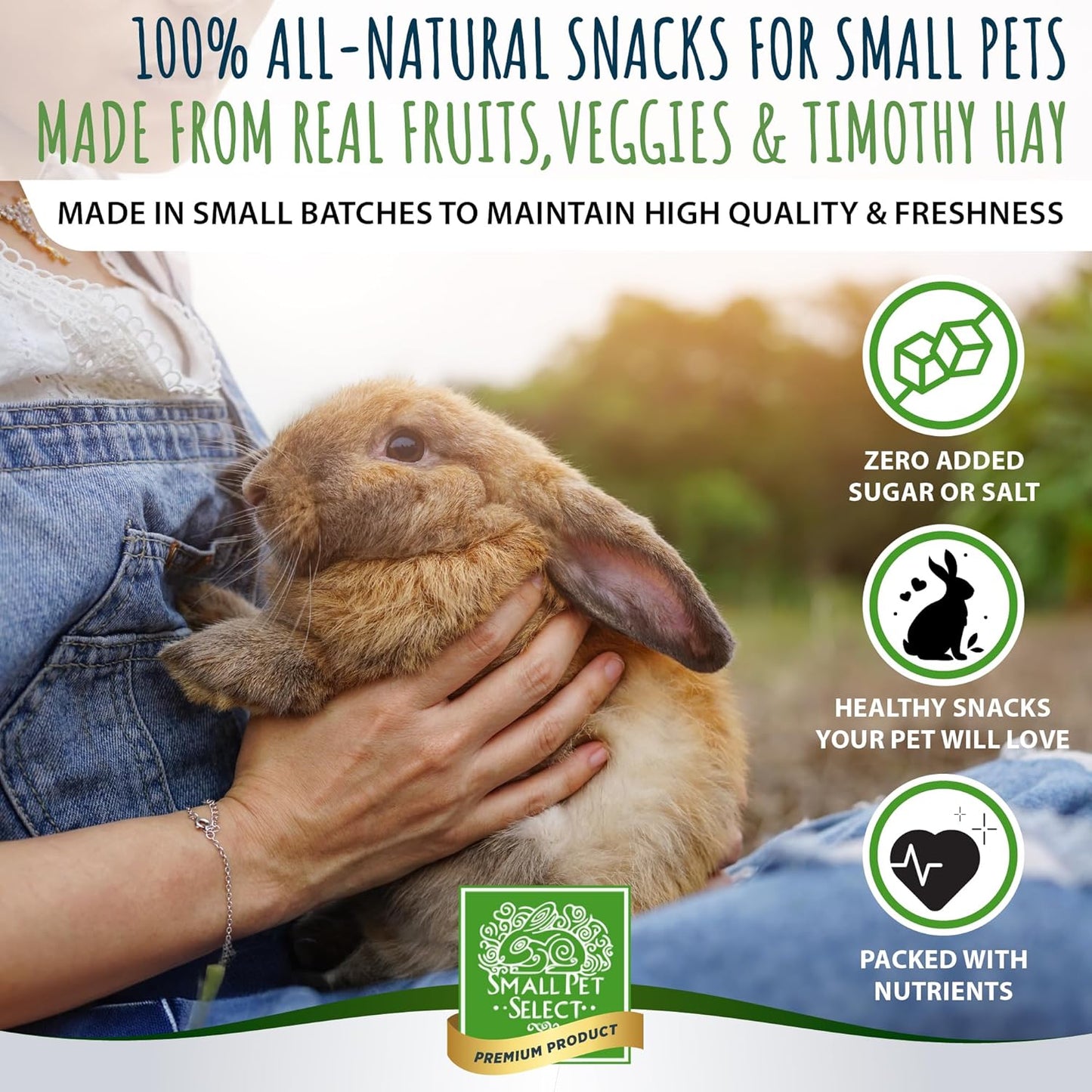 Small Pet Select Healthy Snackers Mini Cookies- Apple Banana, 2 oz