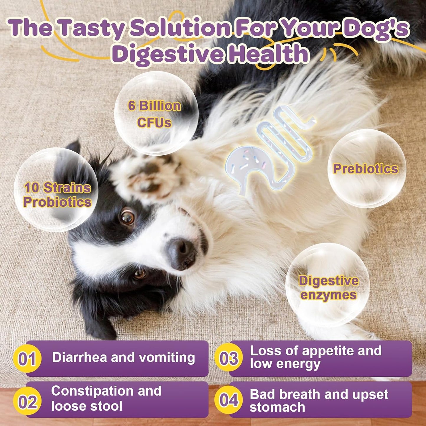 Probiotics for Dogs – 6 Billion CFUs & 10 Strains with Prebiotics, Omega-3, Digestive Enzymes & Multivitamins, Dog Probiotics for Digestive Health, Immune Support, Skin & Coat, 120 Duck Flavor Chews