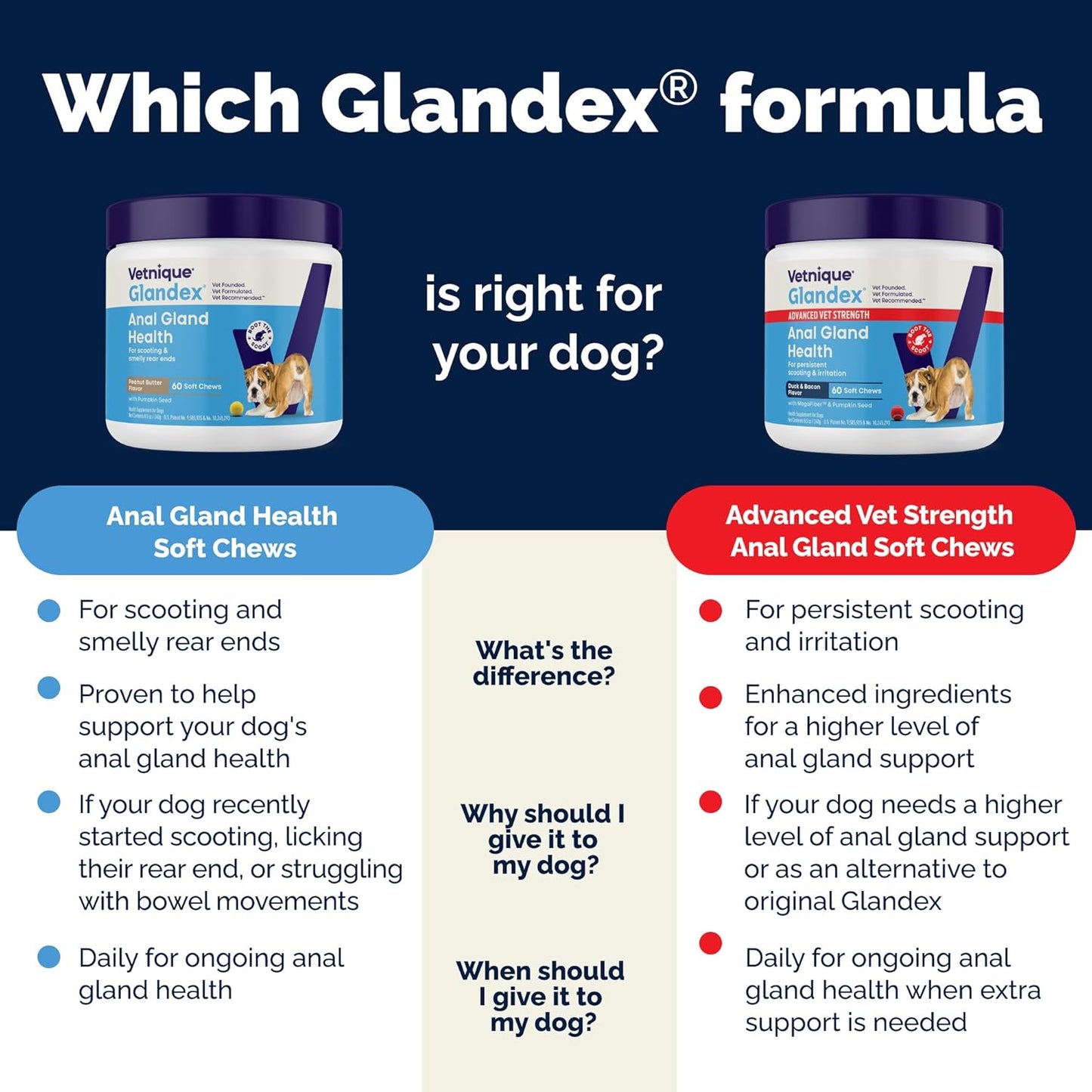 Vetnique Glandex Anal Gland Soft Chew Treats with Pumpkin for Dogs Digestive Enzymes, Probiotics Fiber Supplement for Dogs Boot The Scoot (Advanced Strength Duck/Bacon Chews (Vegetarian), 120 Ct)