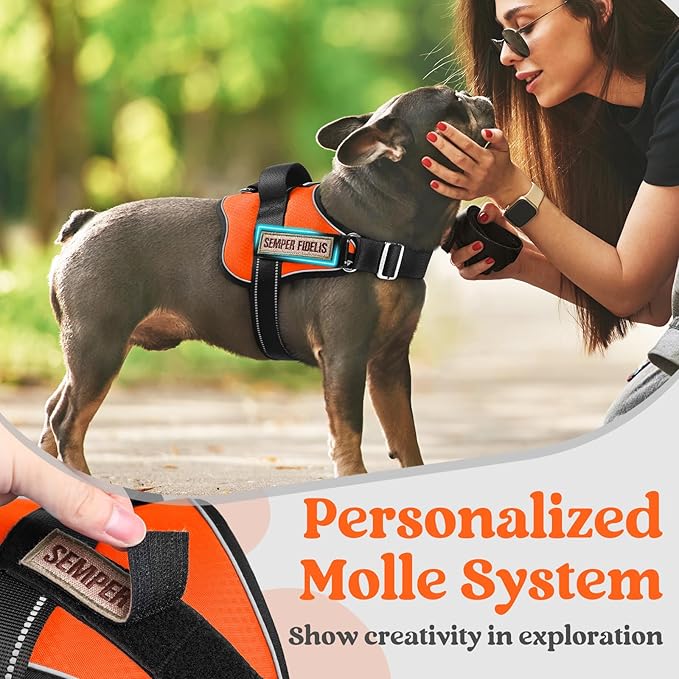 rabbitgoo Dog Harness for Small, Easy On Pet Vest with One Buckle, No Pull Adjustable Service Harness with D-Ring & Handle, Reflective for Safety Walking, Training, Orange, S