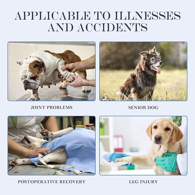 Dog Lift Harness, Full Body Support with Adjustable Control Handle for Senior Dogs, Post-Surgery Recovery & Joint Problems (Oxford Cloth, Custom Size)