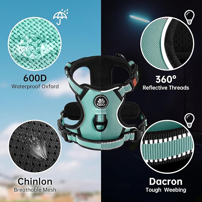 NESTROAD No Pull Dog Harness,Adjustable Oxford Dog Vest Harness with Leash,Reflective No-Choke Pet Harness with Easy Control Soft Handle for Large Dogs(Large,Turquoise)