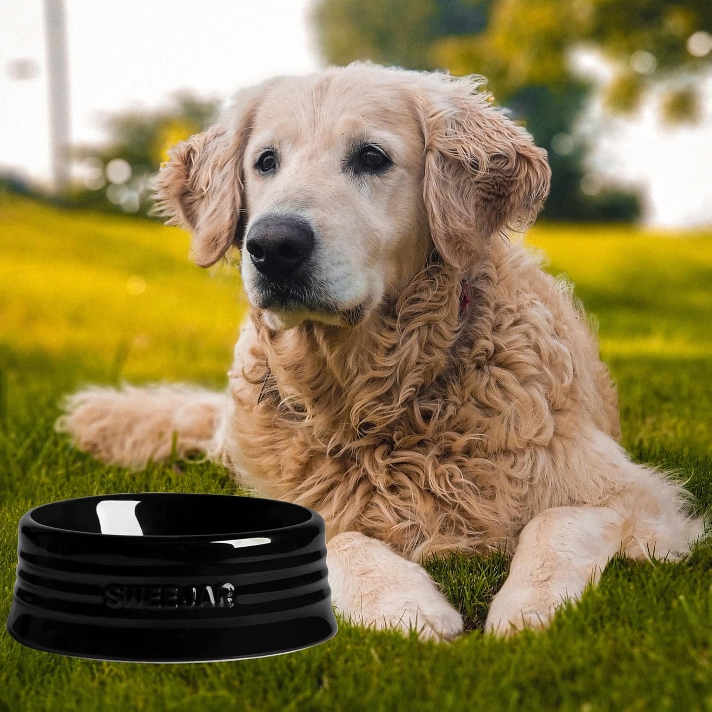 SWEEJAR Gradient Dog Bowl, Ceramic Dog Food Dish for Puppy and Large Dog, Porcelain Pet Bowl for Food and Water (Medium (18oz), Black)
