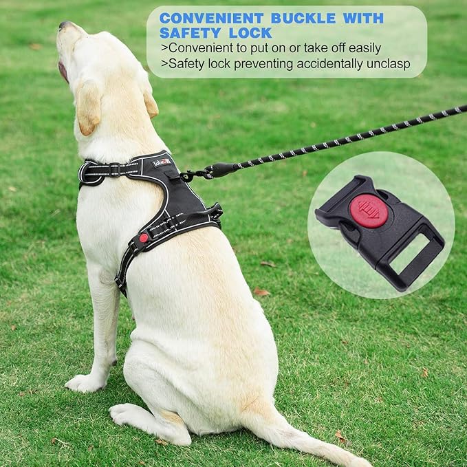 No Pull Dog Harness Adjustable Reflective Oxford Easy Control Medium Large Dog Harness with A Free Heavy Duty 5ft Dog Leash (M (Chest: 22"-26"), Orange Harness+Leash)