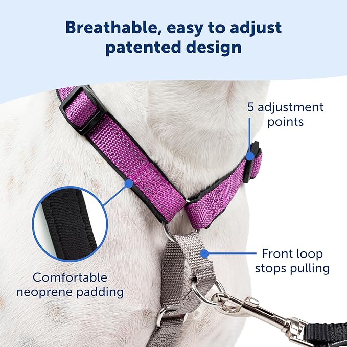 PetSafe 3 in 1 Dog Harness - No Pull Solution for Dogs - Reflective Dog Harness - Front D-Ring Clip Helps Stop Pulling - Comfortable Padded Straps - Top Handle Enhances Control - Plum - Medium
