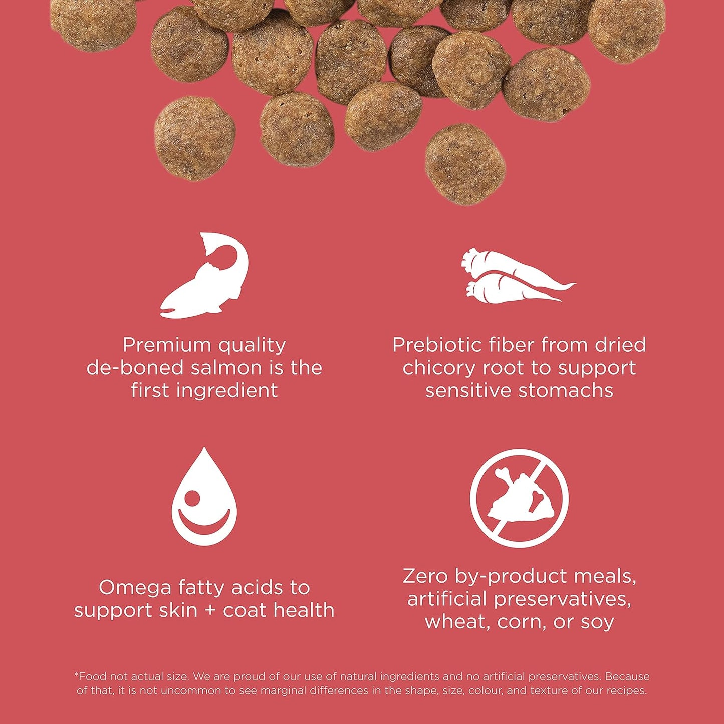 Go! Solutions Sensitivities Limited Ingredients, Grain-Free Dry Dog Food, Salmon Recipe for Sensitive Stomach, 12 lb Bag