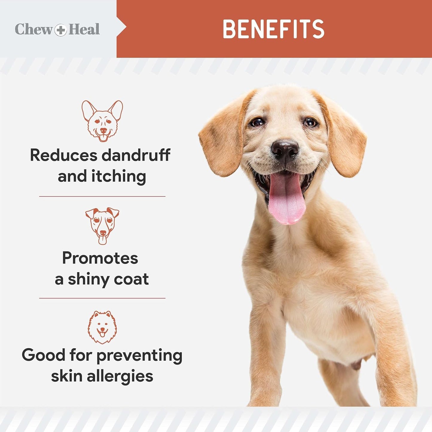 Salmon Oil for Dogs - Soft Chew Omega Treats for Skin and Coat - Fish Oil Blend of Essential Fatty Acids, Omega 3 and 6, Vitamins, Antioxidants and Minerals - Made in USA (180 Chews, Salmon)