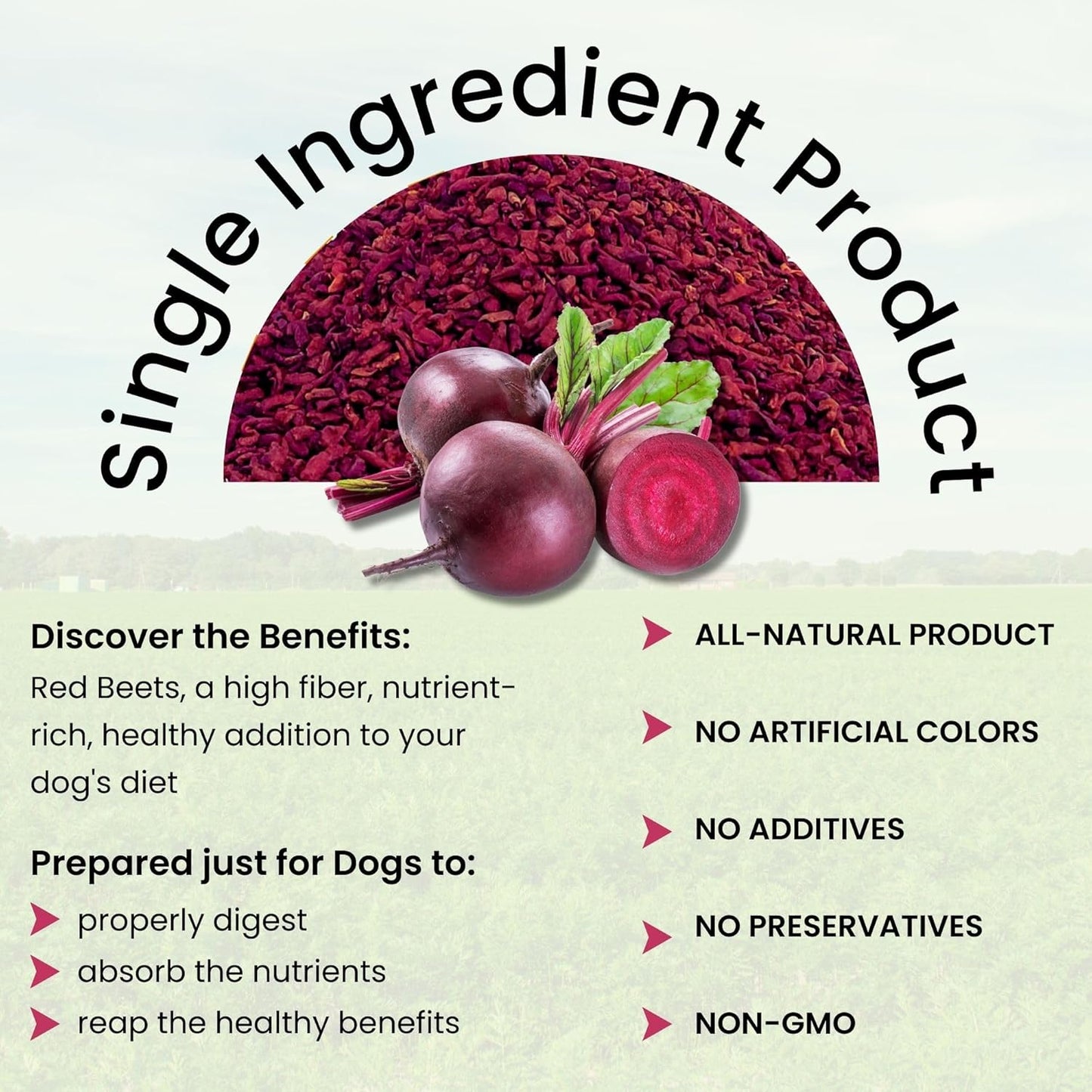 Olewo Original Red Beets for Dogs – Natural Anti Itch for Dogs, Dog Food Topper, Immune, Cleansing, Skin & Coat Support, Dehydrated Whole Food Dog Multivitamin, Fiber for Dogs, 2.2 lbs