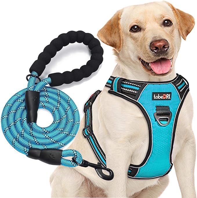 No Pull Dog Harness Adjustable Reflective Oxford Easy Control Medium Large Dog Harness with A Free Heavy Duty 5ft Dog Leash (M (Neck: 14.5"-20.5", Chest: 22"-28"), Blue Harness+Leash)