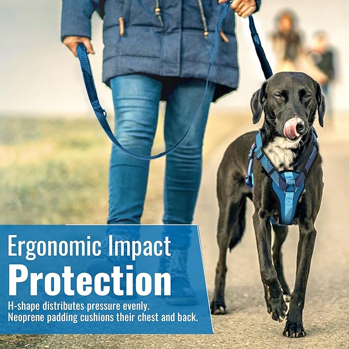 No-Pull Dog Harness with Handle - Escape Proof, Anti-Pulling, Grip Control, Multi-Angle Reflective for Safe Walks & Training, Easy On & Off, Metal Buckle–Pet Harness, Medium/Large Dogs- N H4- Blue