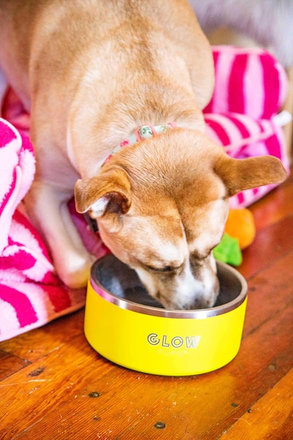 Dog Bowl, Non-Slip Stainless Steel Pet Bowl with Vacuum Insulated Design, Keeps Water Cool, Easy to Clean, Modern Style, 64 oz, Yellow