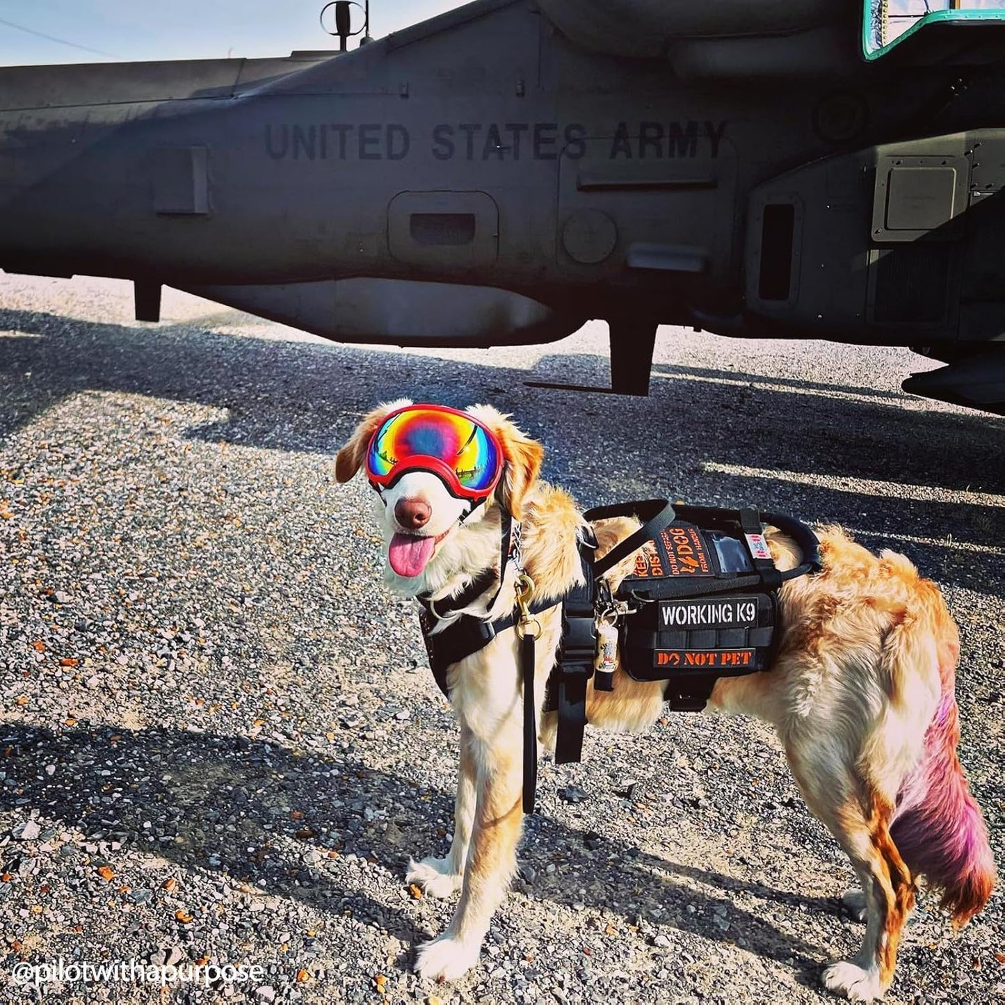 OneTigris Service Dog Vest Harness, Service Dog Cape Guardian Dog Backpack Harness with Pouches Dog Saddle Bag for Small Medium and Large Dogs (Black, Large)