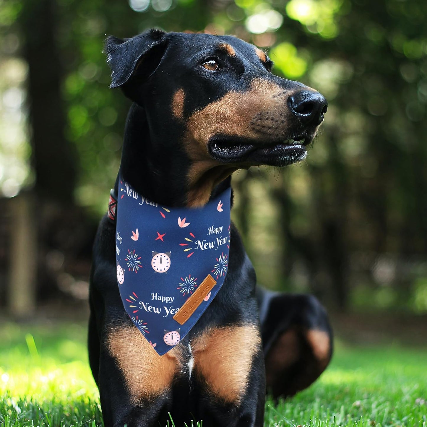 Realeaf Happy New Year Dog Bandanas 2 Pack, Reversible Holiday Pet Scarf for Boy and Girl, Premium Durable Fabric, Bandana for Small Medium Large and XLarge Dogs (X-Large)