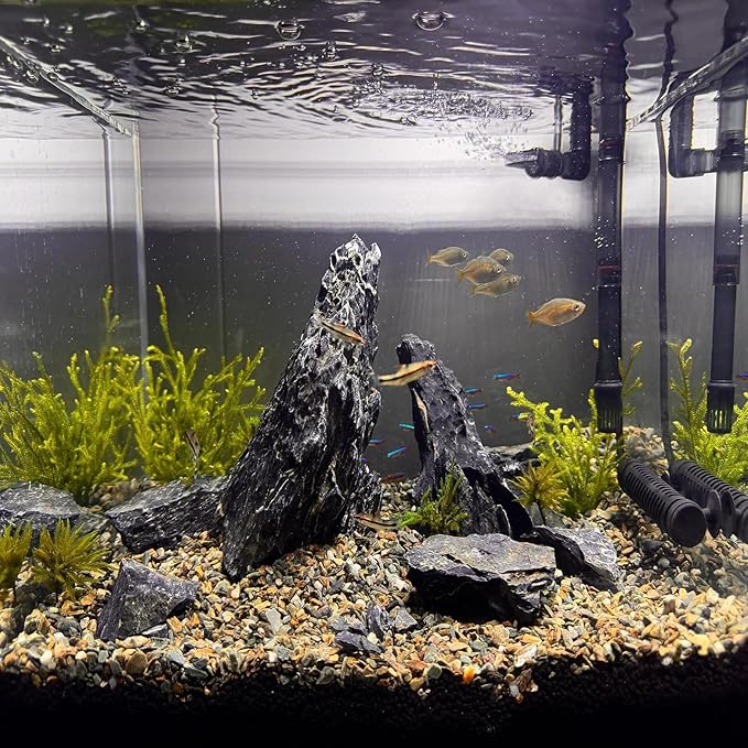 Natural Seiryu Dragon Stone - 20 Pound Aquarium Landscape Rock for Fish Tank Reptile and Amphibious Tank 3-10 Inch Aquarium Decoration