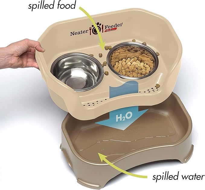 Neater Feeder Deluxe Mess Proof Dog Bowls Elevated for Medium Sized Breeds – Made in USA – No Spill Raised Slow Feeder Elevated Dog Bowl Stand, Stainless Steel Food and Water Bowl Set, Cappuccino