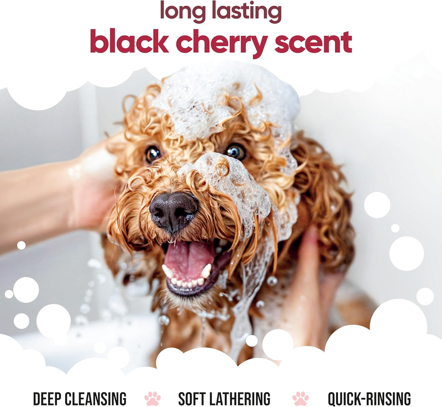 Black Cherry Dog Shampoo by Buddycare | Deep Cleansing Shampoo for Dogs | Black Cherry Scented | with Aloe Vera and Pro Vitamin B5 (50.72oz)