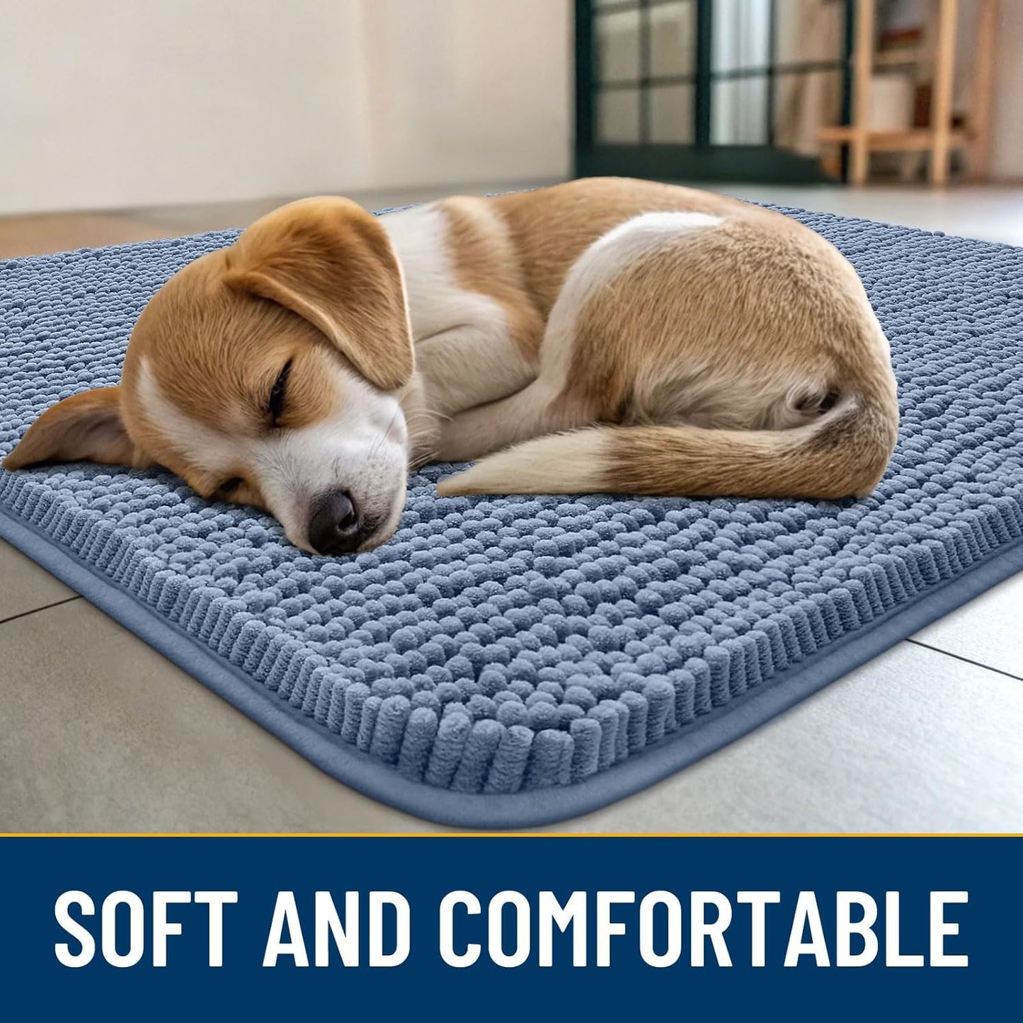 Smiry Dog Door Mat for Muddy Paws 24x16, Absorbs Moisture and Dirt Doormat, Non-Slip Washable Quick Dry Chenille Front Door Mat Indoor Entrance, Entryway Carpet for Inside Floor, Airy Blue