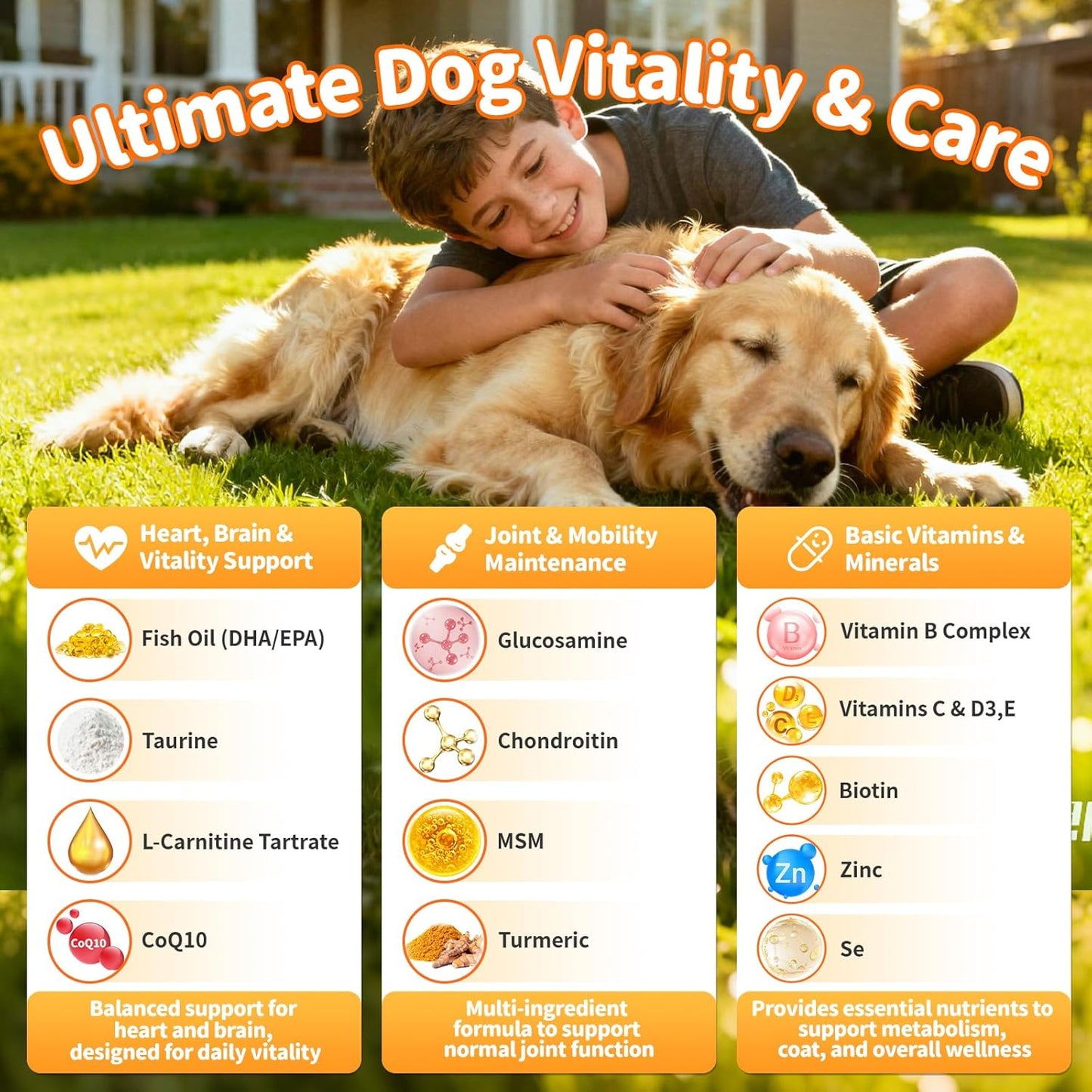 25-in-1 Dog Multivitamin Chews – All-in-One Daily Vitamins & Supplements for Dogs, Joint Support with Glucosamine MSM, Omega-3 Skin & Coat, Gut, Heart & Brain, All Breeds & Ages, Chicken, 60 Ct