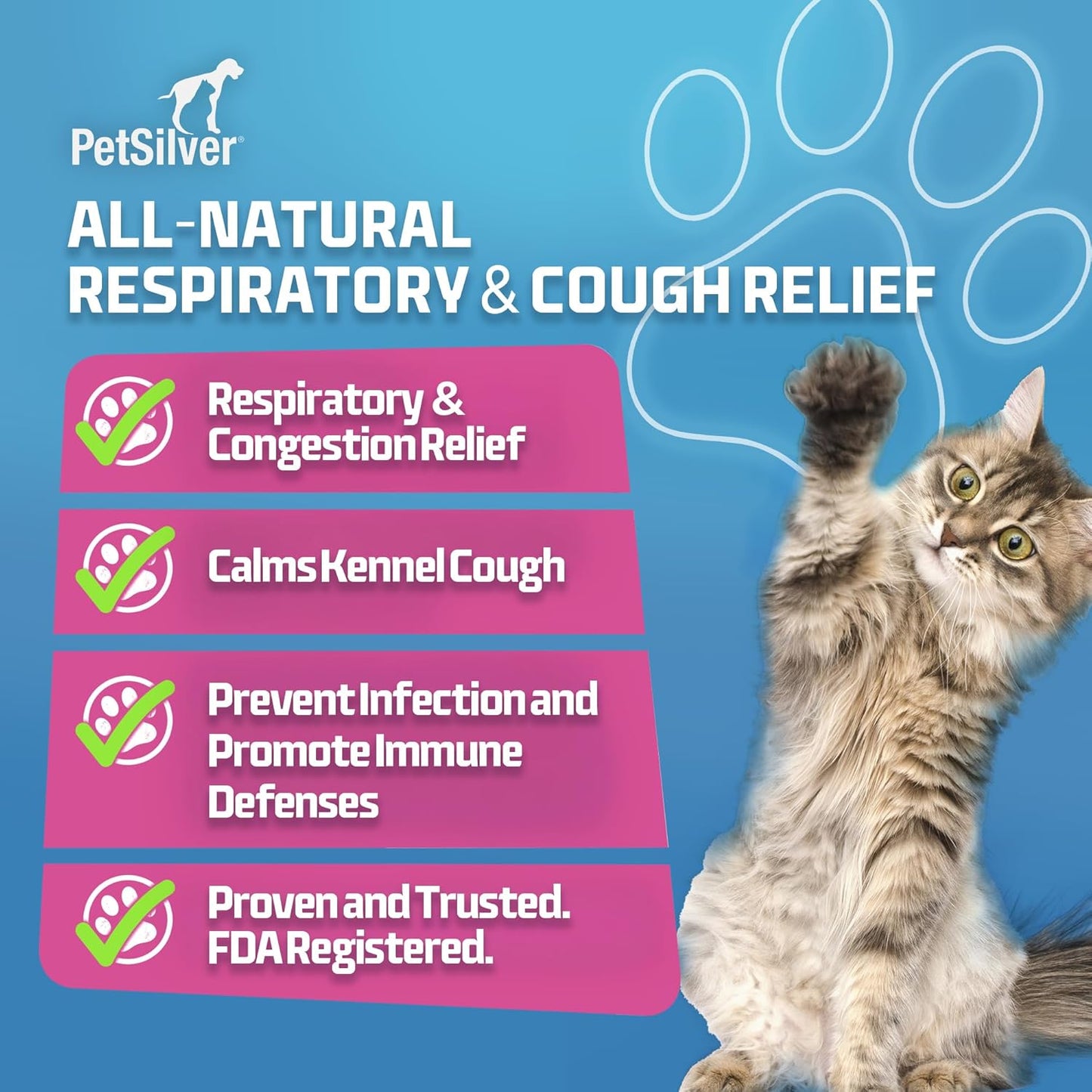 PetSilver Immune Support - Promotes Respiratory Health in Cats & Dogs, Sinus & Kennel Cough Treatment, Natural Antibiotic, Allergy Relief, Chelated Silver Formula, Easy-to-Use Dropper, USA - 2 fl oz