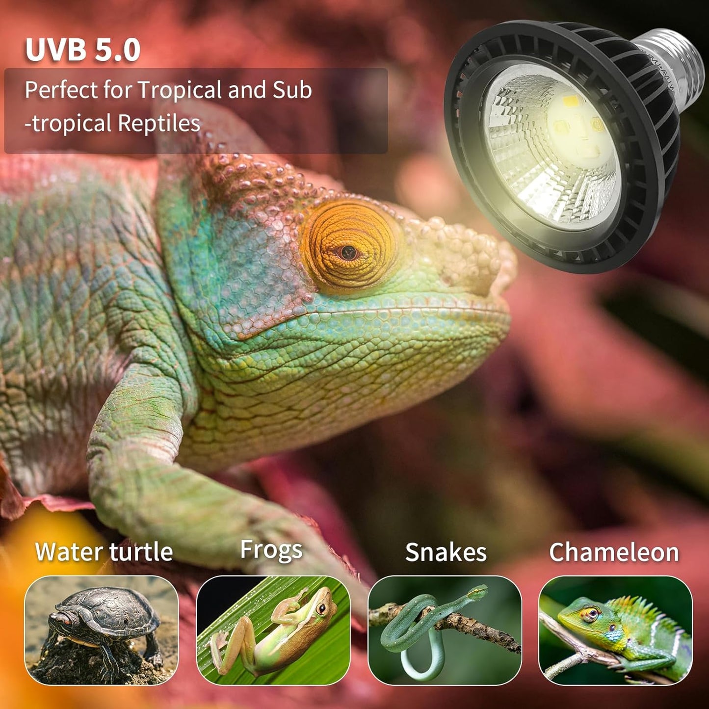 UVB Light Bulb for Reptiles, LED 3W 5.0 UVA UVB Heat Lamp Bulbs Ideal for Rainforest Reptiles, Bearded Dragons Lizard Turtle Tortoise Iguanas Chameleons Snake (1 Pack)