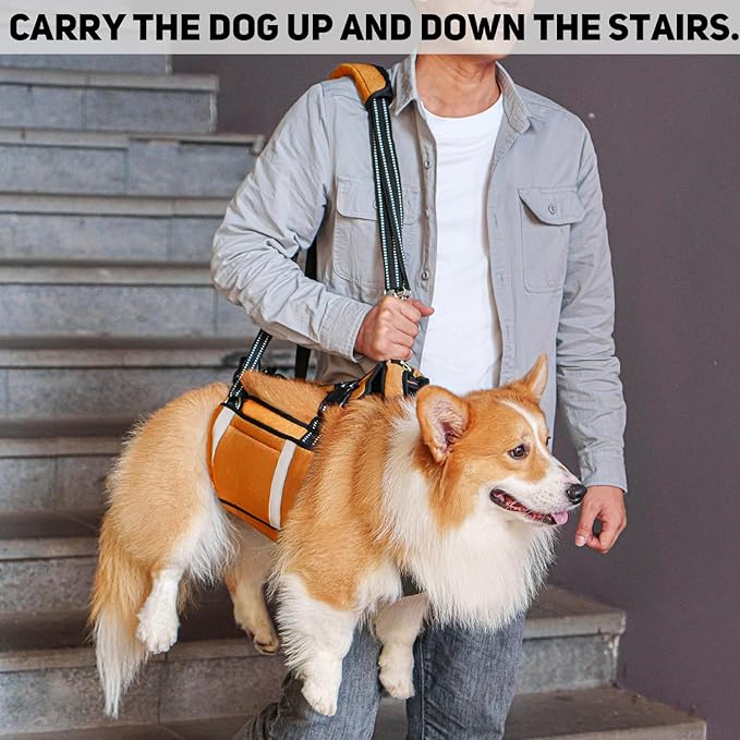 COODEO Mobility Dog Lift Harness, Emergency Carry Sling, Pet Rear Leg Support Rehabilitation Lifts Vest, Dog Carrier for Senior Dogs Joint Injuries, Arthritis (Orange, M)
