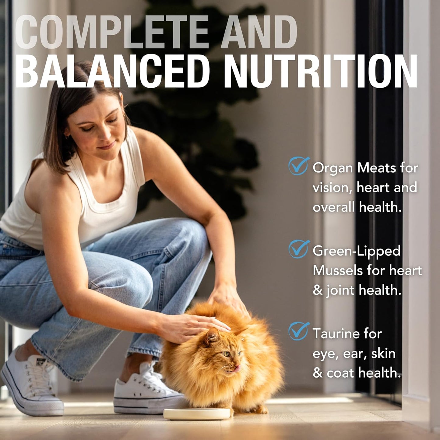 Feline Natural New Zealand Canned Catfood Wet Food, High-Meat, Low-Carb, & Grain Free Cat Food Wet, Beef Feast, 6 oz, Pack of 12