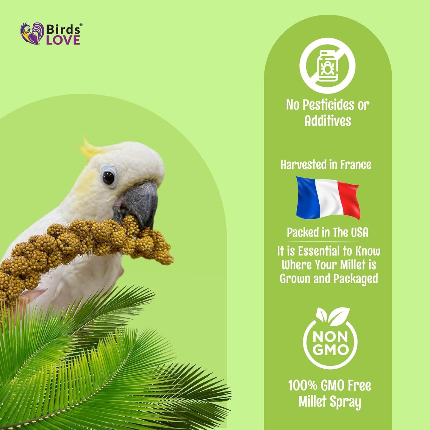 Birds LOVE French Kissed Spray Millet for Birds - Parakeets, Cockatiels, Lovebirds, Finches, Budgies, Canaries, Cockatoos - Natural & Healthy Bird Millet - Parakeet Food & Treats for All Parrots 2lbs