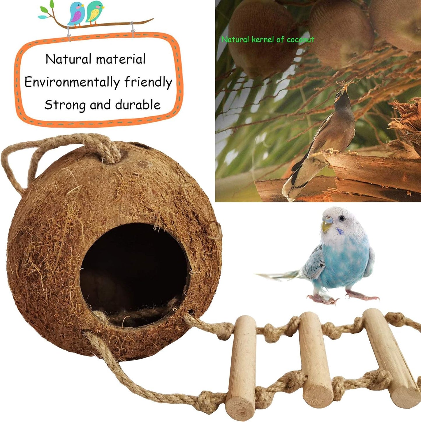kathson 5PCS Bird Hides Coconut Nest with Ladder Perches Hanging Parrot House Cage Natural Coconut Fiber Parakeet Chewing Toys Intelligence Training Rings for Small Budgies Cockatiels