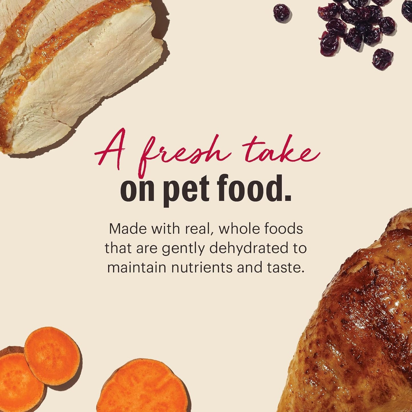 The Honest Kitchen Dehydrated Grain Free Turkey Cat Food, 2 lb Box