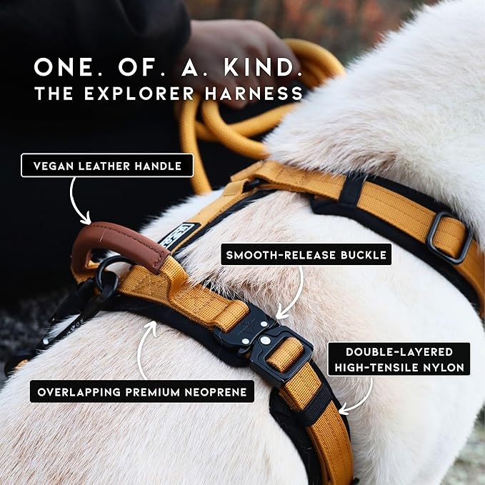 MADE TO ROAM Premium Explorer Harness - Y-Shaped Dog Harness with Adjustable Durable Nylon, Soft Padding, Metal Buckles and Leather Handle for Small, Medium, Large Dogs (New York Afterlight, Size 7)
