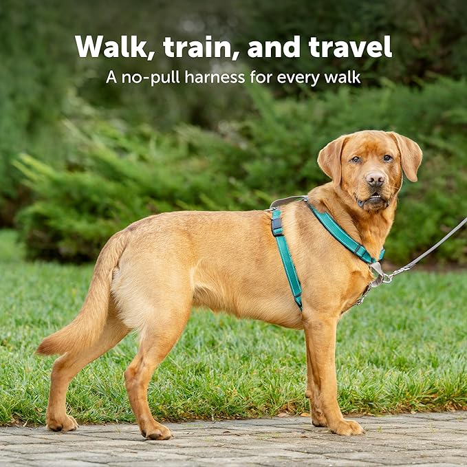 PetSafe 3 in 1 Dog Harness - No Pull Solution for Dogs - Reflective Dog Harness - Front D-Ring Clip Helps Stop Pulling - Comfortable Padded Straps - Top Handle Enhances Control - Black - Small